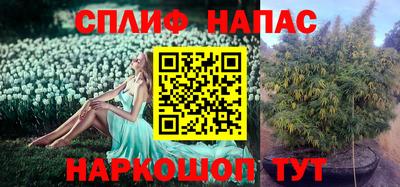 прущая мука Донецк