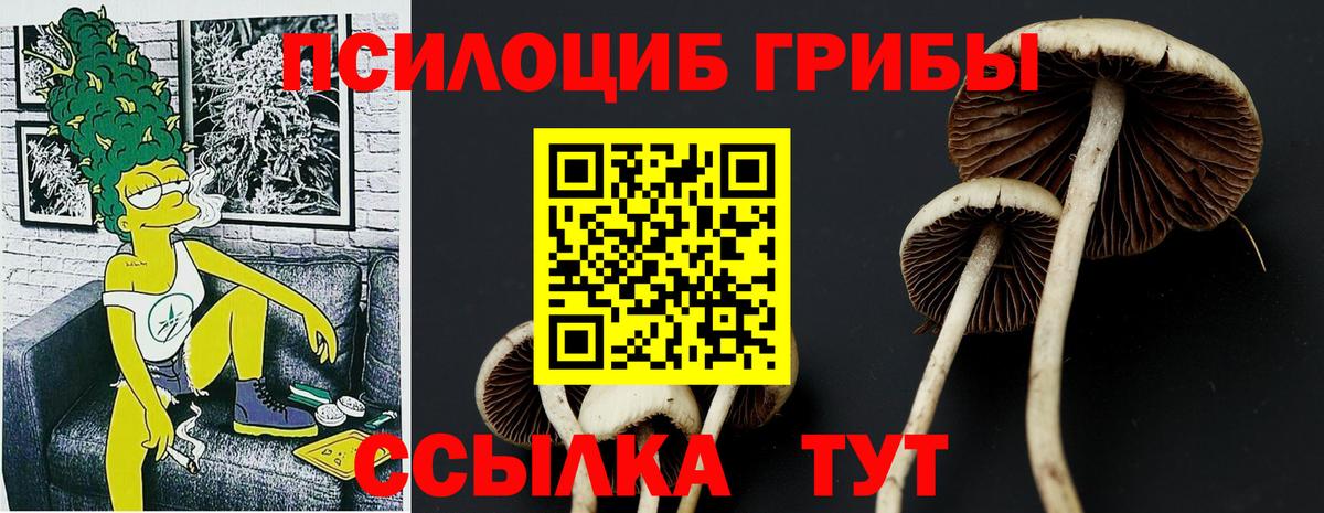 купить наркоту  Псилоцибиновые грибы Psilocybe  Галлюциногенные грибы мухоморы  Вход с VPN  Мценск 